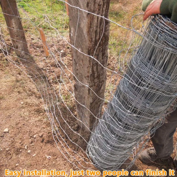 Sheep Goat Farm Wire Fence Fence Mesh Hot Sale Plastic Electric Galvanized or Hot Dipped Galvanized