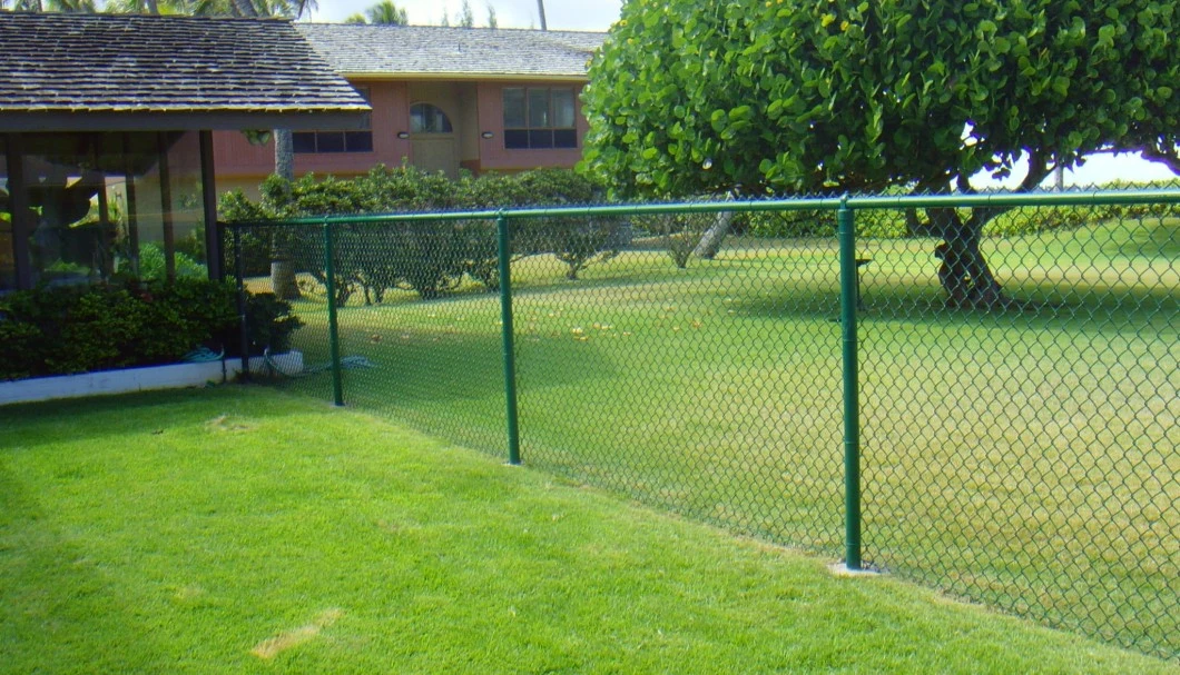 PVC Coated Diamond Shape Mesh Fence Green Chain Link Fence for Garden and Residential Use